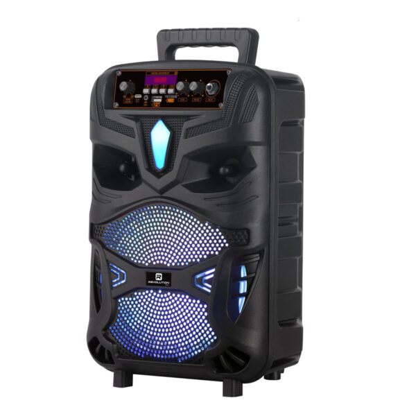 Haut Parleur HIFI JBC-P55